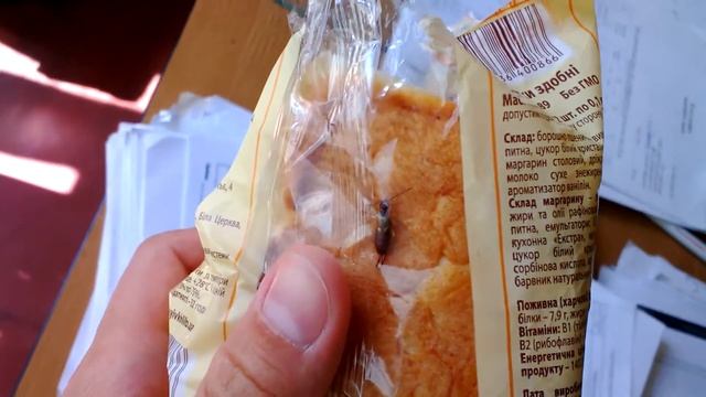 Жук в упаковке сдобных булочек!!!!