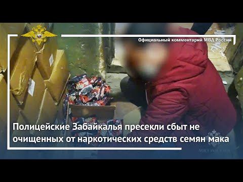 Ирина Волк: Полицейские Забайкалья пресекли сбыт не очищенных от наркотических средств семян мака смотреть онлайн