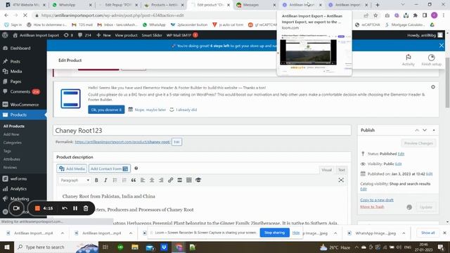 Dashboard ‹ Antillean Import Export — WordPress 27 January 2023 смотреть онлайн
