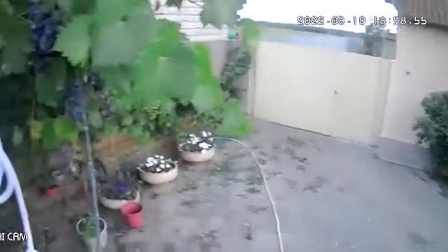 3мп камера на солнечной панели смотреть онлайн