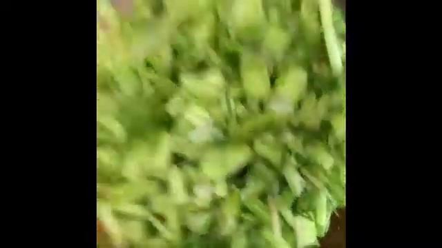 Шедевры Гастрономии