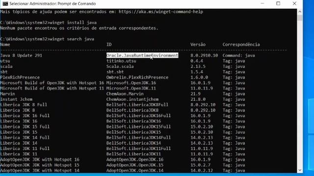 Como instalar programas no Windows 10 de forma muito fácil [WinGET] смотреть онлайн
