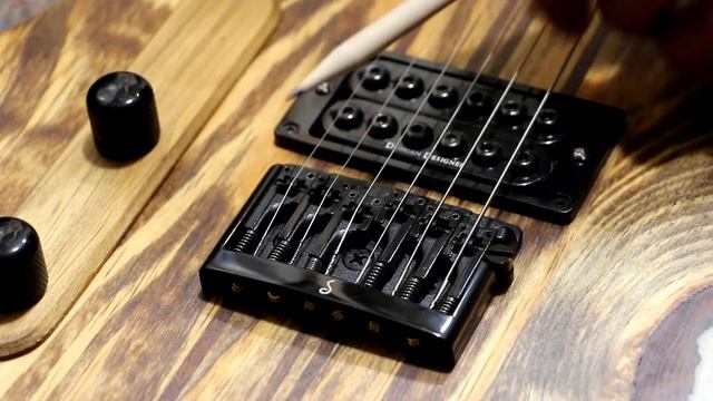 How to Adjust the Schaller 3D-6 | An overview of the features and adjustments смотреть онлайн