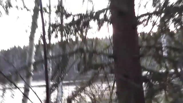 Охота река Сить! смотреть онлайн