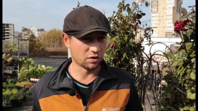 На курорте работает выставка-ярмарка "Дача,сад и огород" смотреть онлайн