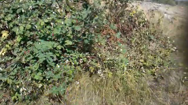 mototrip: Грузия-Армения-Н.Карабах, сентябрь 2013 г. - Шуша, ущелье Дашалты, схрон 2013-09-14 смотреть онлайн