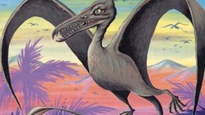 САМАЯ ПЕРВАЯ ПЕСНЯ. В. Берестов. Муз. и исп. Марина Романова.