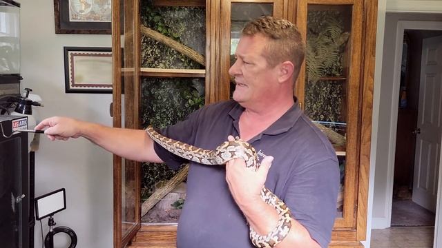 Silent Bob The Sri Lankan Python Update! Plus Retile Show Educational Booth! смотреть онлайн