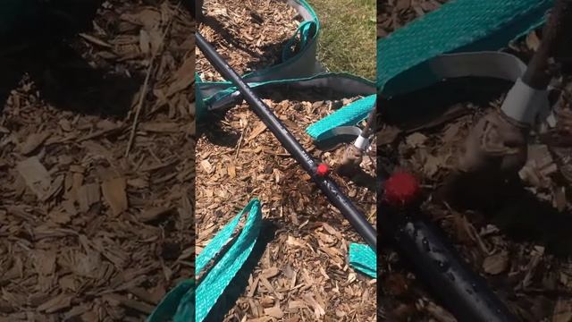 Колоновидные яблони в сумках , полив . Agro Rain AOD0170B - Капельница разборная регулируемая смотреть онлайн
