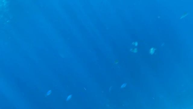 Под морем смотреть онлайн