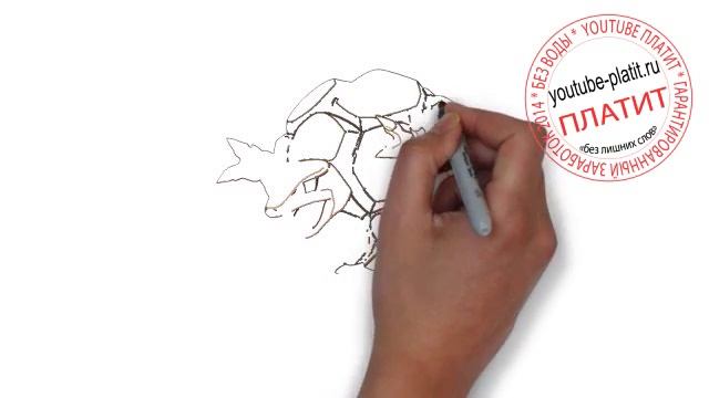 Как рисовать покемонов карандашом Голем Виды покемонов и их эволюция golem смотреть онлайн