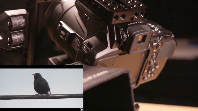 Nikon P900 - 2019 Rig Setup 101 смотреть онлайн