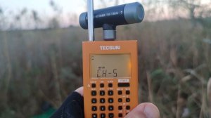 Tecsun PL-368. Сравнение по приему н ферритовую антенну и на телескоп.