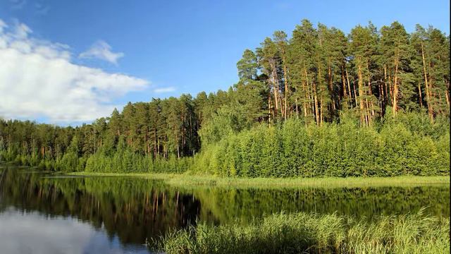 Служение не буквы а духа.Средства для очищения 14 смотреть онлайн