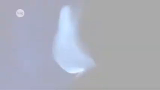 Что есть в сигарете смотреть онлайн