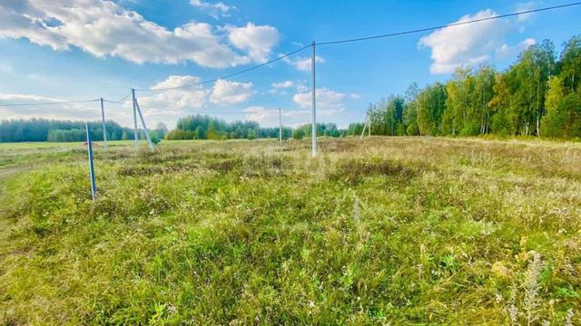 11453256 смотреть онлайн