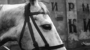 Уходили мы из Крыма...