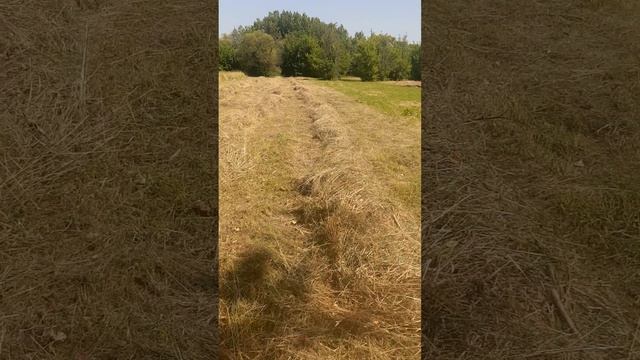 самодельные грабли "солнышко" смотреть онлайн