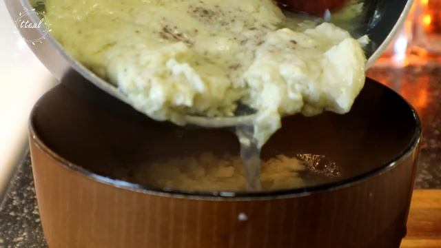 Beans Sprout Where They Are Planted • Milk Carton Sprouts • Glass Jar Lentil Sprouts • Sprout Food