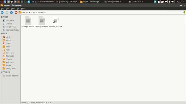 ScanChan - Bing dorker sql injection vulnerability scanner смотреть онлайн