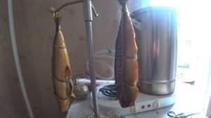 Скумбрия горячего копчения. HANHI 4 на 20л. (Ханхи4)