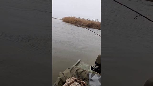 Рыбалка в дельте Волги ( Каспийское море) #Астрахань#рыбалка#дельта_волги#каспийское_море смотреть онлайн