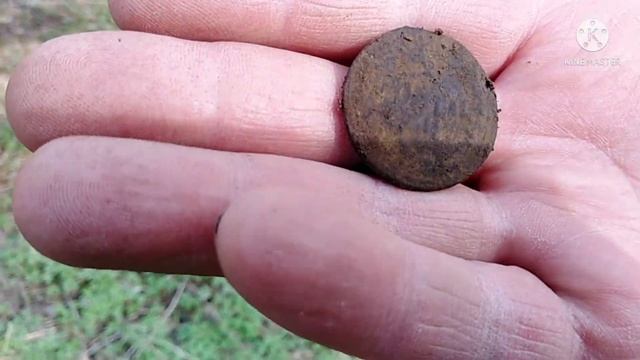 КОП-2021/2022.МИКС ПО КОПУ, С ПОКАЗОМ СИГНАЛОВ И ЦИФР НА ДИСПЛЕЕ EQUINOX-800 И X-TERRA 705 НА МОНЕТ смотреть онлайн