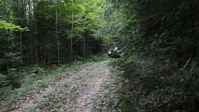 Proper Off-Road Testing | 2019 Jeep Renegade Trailhawk Review смотреть онлайн