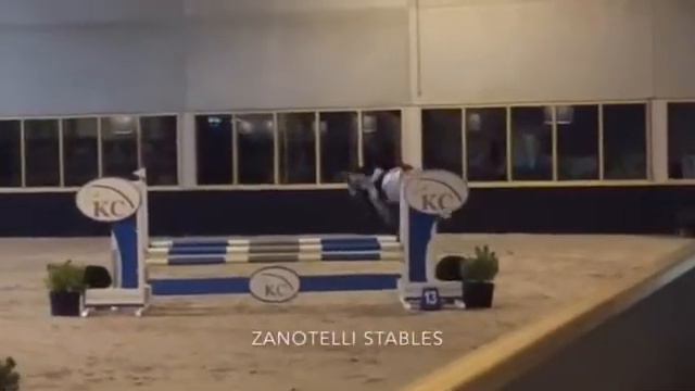 Cornet Star 5 years old by Cornet Stern x Centadel. смотреть онлайн