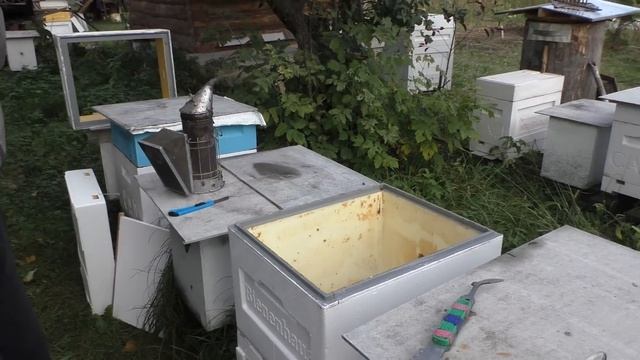 Улья ППУ Вienenhaus, опыт использования. смотреть онлайн