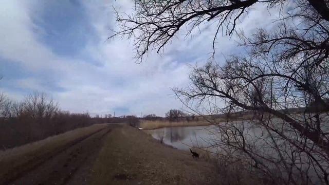 Проект "Аренда водоёма" 29 Экскурсия (ДР) смотреть онлайн