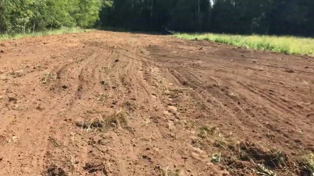 Посев горчицы на сидераты смотреть онлайн