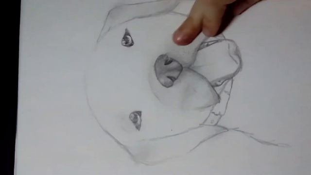 Рисуем щенка лабрадора поэтапно (часть вторая) смотреть онлайн