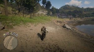 RDR 2 ОХОТА НА ПУМ МЕСТО О КОТОРОМ  ВРЯД ЛИ КТО ЗНАЛ. ОТСТРЕЛИВАЕМ ПУМ БЕЗ МАЛЕЙШЕГО РИСКА.