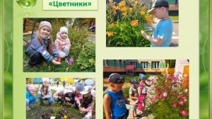 Трудовое воспитание на экологической тропе детского сада. Мастер класс "Юные агрономы".