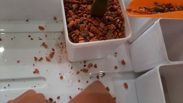 Мой инвентарь для суккулентов. Горшки. смотреть онлайн