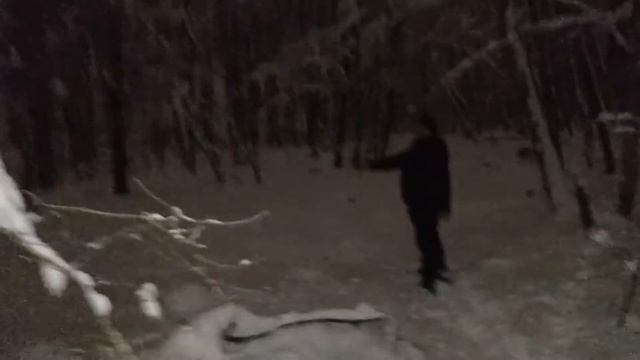 #ЗИМНИЙ ЛЕС НОЧЬЮ ПОД НОВОРОССИЙСКОМ. смотреть онлайн