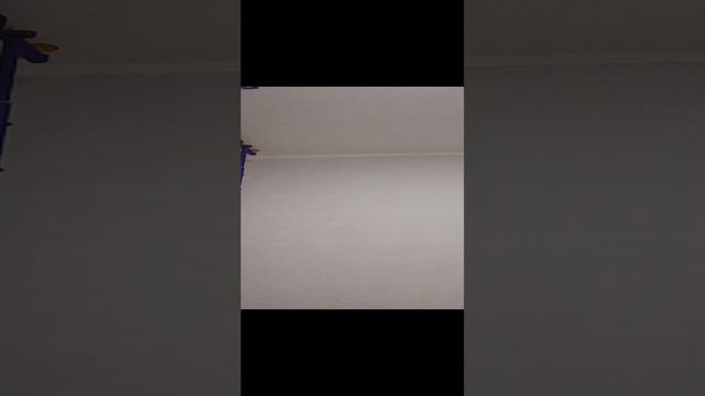 информатика