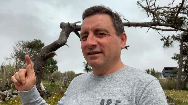 Место, в которое хочется вернуться. смотреть онлайн