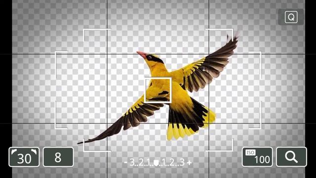 Как летают птицы? •Интересно знать• ПОЗНАВАТЕЛЬНЫЕ ВИДЕО ДЛЯ ДЕТЕЙ???️? смотреть онлайн