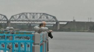 Каменск Шахтинский  Набережная