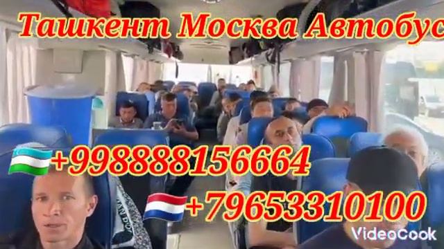 Ташкент-маска,санкт_петербург,автобус,Ташкент,Самара,Москва,такси Россия,#qashqadaryo #такси #tezko смотреть онлайн
