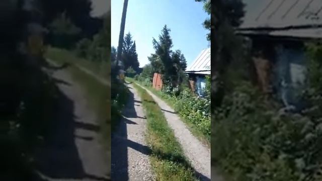 Дача (съёмка от первого лица) смотреть онлайн