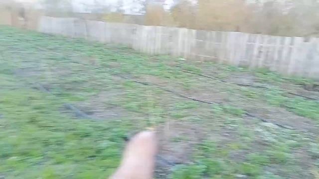 Установка капельного полива на 230 кустов смородины . смотреть онлайн