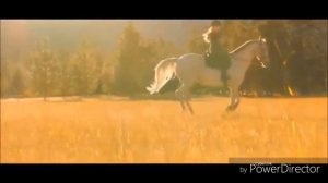 Клип про конный спорт
