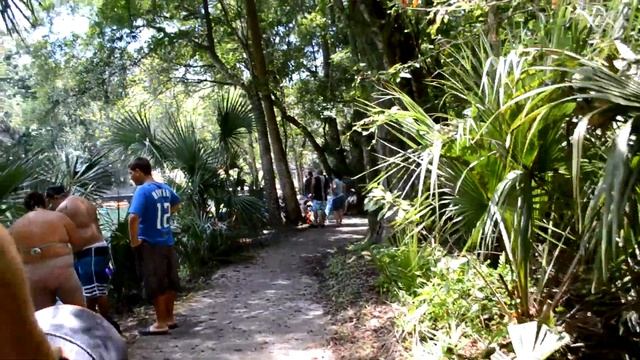 США. БЕЛКИ на Фастфуде :)) funny animals смотреть онлайн