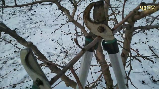 СУЧКОРЕЗ GARDENA EasyCut 12002 с короткими ручками. ИГРУШКА или ВЕЩЬ? смотреть онлайн