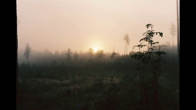 ZENIT 11 PHOTOS WITH FARGO SOUNDTRACK смотреть онлайн