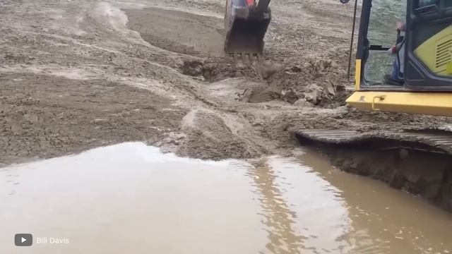 100 Случаев, Когда Животные Пришли к Людям за Помощью