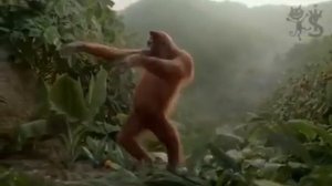 Обезьяна танцует